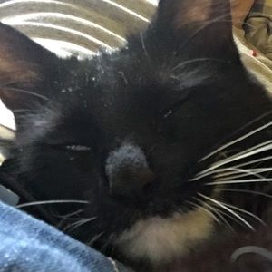 Meet your Posher, Patrick